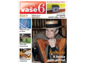 Vase6 Rijen2016