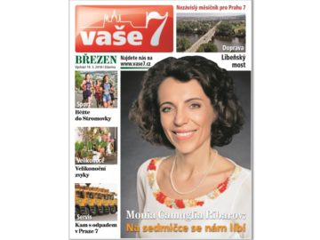 Vase7 6 2017