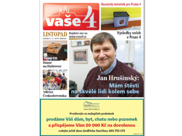 V4 11web