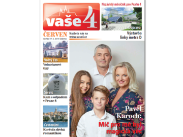 V4 6 W