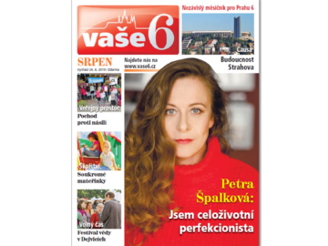 V6 8 Web