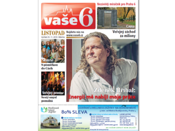 V6 11 Web