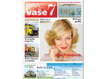 V7 11 Web