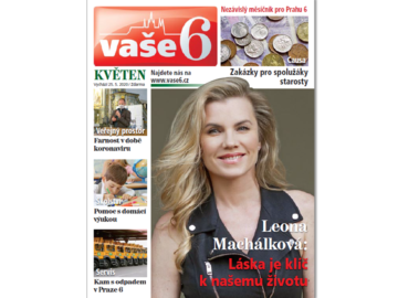 Vase6kvetenweb