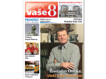 Vase8prosinecweb